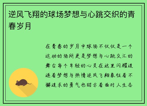 逆风飞翔的球场梦想与心跳交织的青春岁月