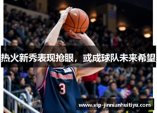 热火新秀表现抢眼，或成球队未来希望