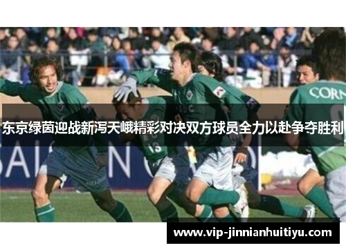 东京绿茵迎战新泻天峨精彩对决双方球员全力以赴争夺胜利
