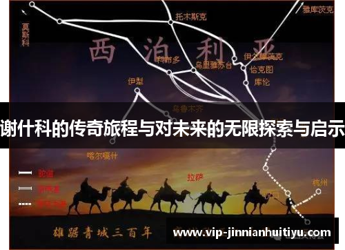 谢什科的传奇旅程与对未来的无限探索与启示